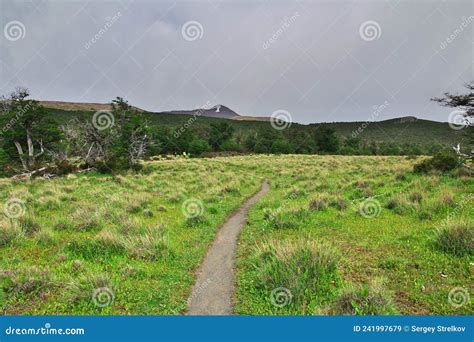 Hiking on Los Glacier National Park Fitz Roy, El Chalten, Patagonia ...