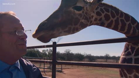 Longneck Manor In Fredericksburg Lets You Sleep With Giraffes