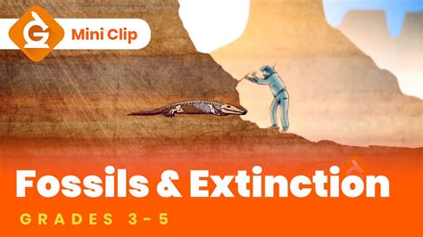 Fossils And Extinction Video Lesson For Kids Science For Grades 3 5