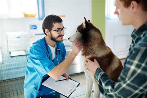 How Much Is A Vet Visit For A Dog