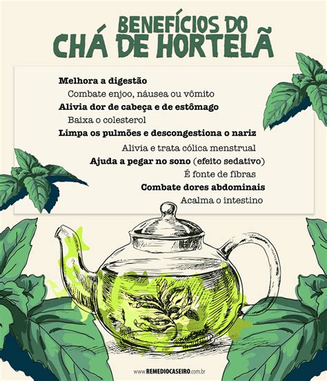 Hortelã benefícios tipos e receitas Chá de hortelã Chás