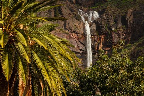 Cascada Juan Jorro Waterfall Behind Palm License Image