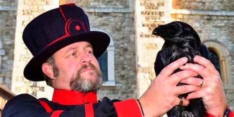 Le troisième corbeau de la Tour de Londres est mort et la Grande