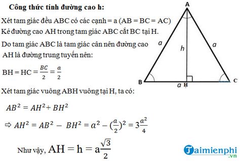 Tính Chất Tam Giác Đều Đặc Điểm Công Thức Và Ứng Dụng Thực Tiễn