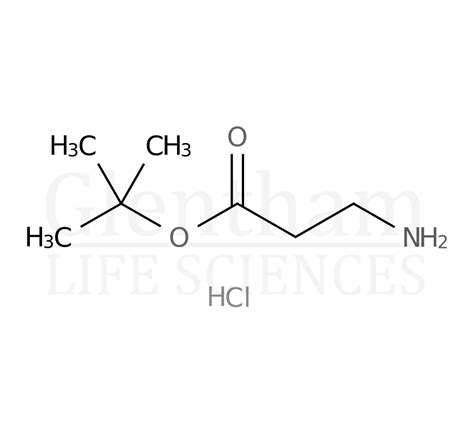 B Alanine T Butyl Ester Hydrochloride CAS 58620 93 2 Glentham Life