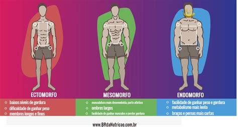 Endomorfo O Que é Como é A Dieta E O Treino Br