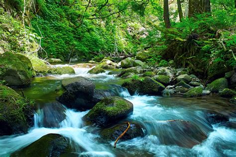 「清流」の画像・写真素材を無料ダウンロード（1）背景フリー素材 Beiz Images