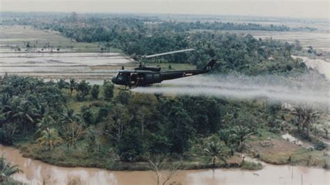 Agent Orange Continues To Haunt Vietnam | IFLScience