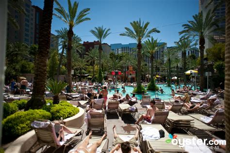 Hilton Grand Vacations at the Flamingo Review: What To REALLY Expect If ...