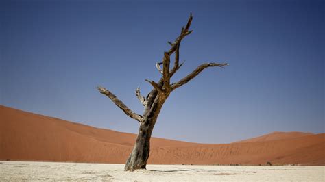 Sossusvlei Namibia Wallpaper X K Ultra Hd