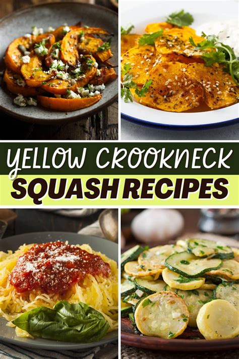 17 Best Yellow Crookneck Squash Recipes To Try Insanely Good