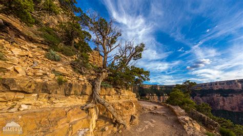 South Kaibab Trail Map