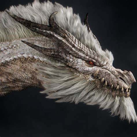 The Ancestral Dragon White Fatalis Sebastien Evrard In 2024 Monster