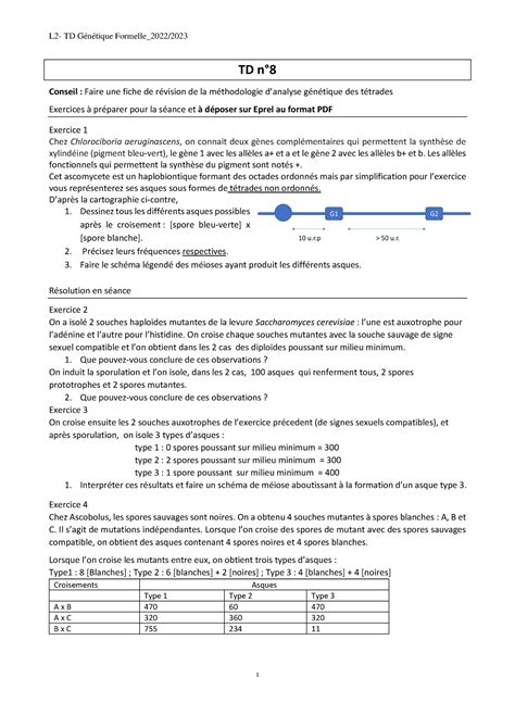 Poly TD G1 2023 TD8 Exercice De TD De GAME 2022 2023 L2 TD