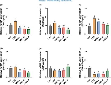 Table 1 From Ameliorating Effect Of 2 Fucosyllactose And 6