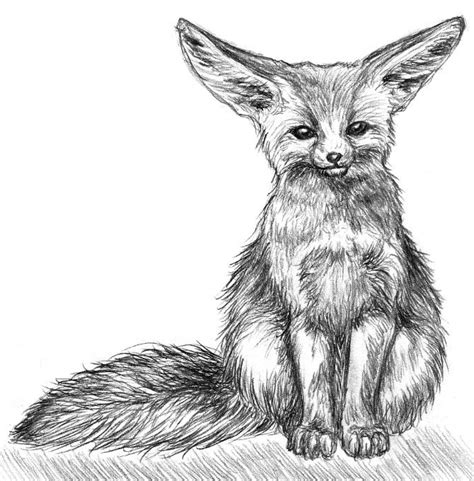 Fennec By Amarevia On Deviantart Animal Drawings Sketches Fox