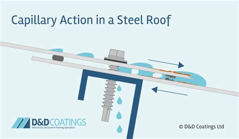 Capillary Action Understanding The Science Behind It Ras Commercial Roofing