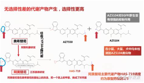 Egfr与非小细胞肺癌的关系与治疗（20220814更新第四代） 知乎