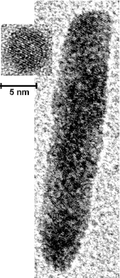 Figure 2 From Author Manuscript Published In The Seventh