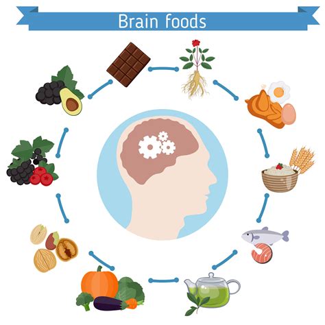 Brain Foods infographics - Drew Ramsey MD