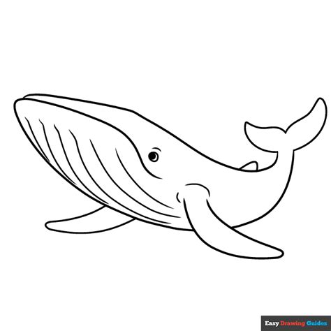 How to Draw a Blue Whale - Really Easy Drawing Tutorial