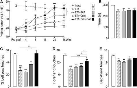 Transplantation Of HESC Derived Progenitors In The Presence Of SAP