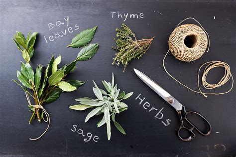 How To Store Fresh Herbs Make Them Last Longer Wellnessed