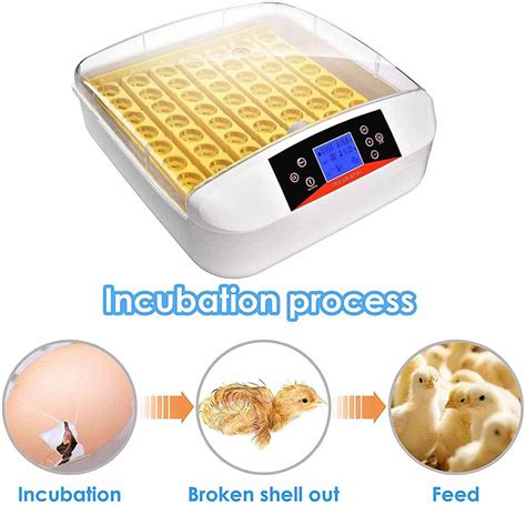 Yz S Hhd Egg Incubator Fully Automatic Eggs Mini Incubator