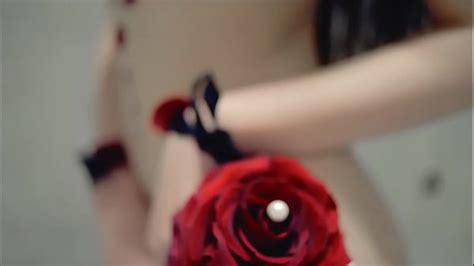 Hybrid Videos XVIDEOS