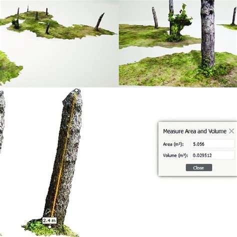 A 3d Visualization Of Tree Stems Of Plot E And Calculation Of Diameter