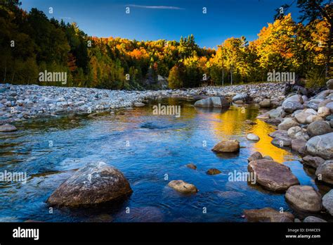 Autumn Color Along The Peabody River In White Mountain National Forest