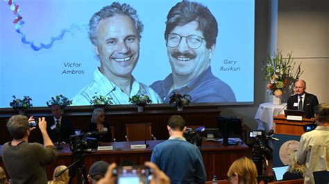 Hinton Hopfield Awarded Nobel Prize In Physics