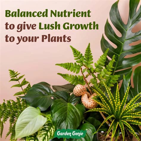 Fertilizers, Manures, and Organic Fertilizers: Enhance Soil Health