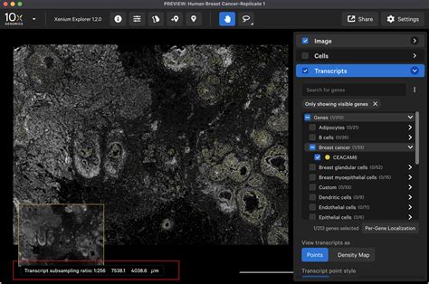 Xenium Explorer Navigation Official 10x Genomics Support