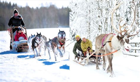 Voyage Laponie Rovaniemi Tout Compris départ 17 février 2025 Hôtel