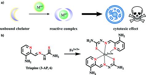 Transition Metal Chelators Pro Chelators And Ionophores As Small