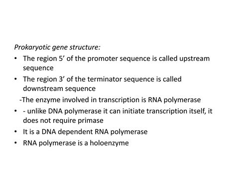 SOLUTION: Prokaryotic transcription - Studypool 