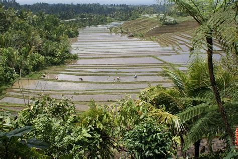 Inspirasi Spesial Bali Reisfelder