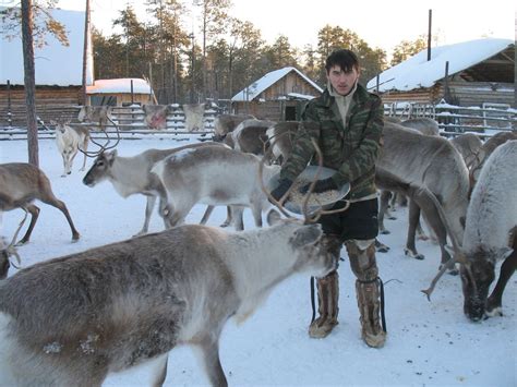 Innovations and Traditions of Arctic Reindeer Herding – Arctic Anthropology