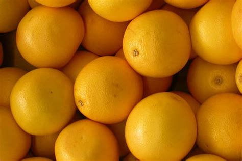 Pomelo Citrus Citrus paradisi