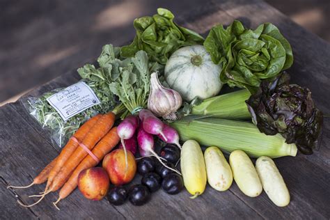 FEED Cooperative