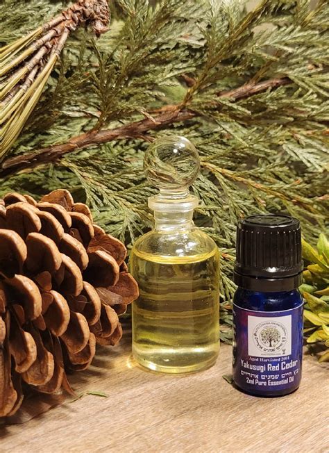 Yakusugi Red Cedar High Quality Essential Oil Ml Cryptomeria Japonica