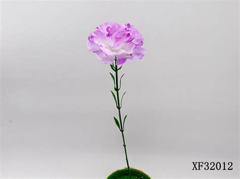 Single Carnation in Multiple Colors