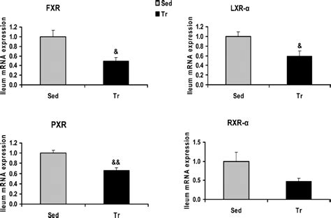 Gene Expression Of Farnesoid X Receptor Fxr Liver X Receptor ␣ Lxr Download Scientific