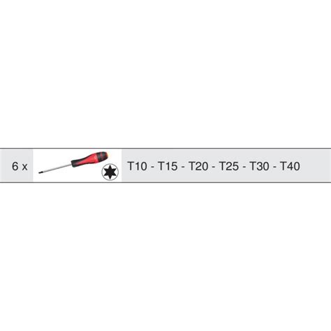 KS Tools Module de tournevis ULTIMATE TORX 6 pièces