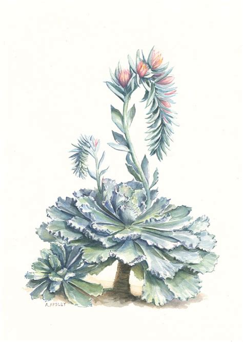 A Watercolor Painting Of A Plant With Leaves And Flowers