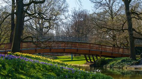 Wiosna Most Kwiaty Rzeka Park Drzewa Kaczki