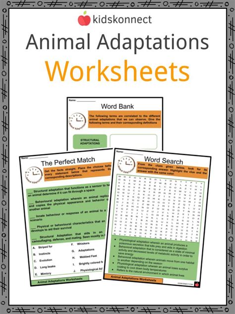Adaptations For Kids Worksheets