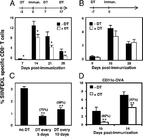 In Vivo Ablation Of Ln DDCs Reduces CD8 T Cell Responses A