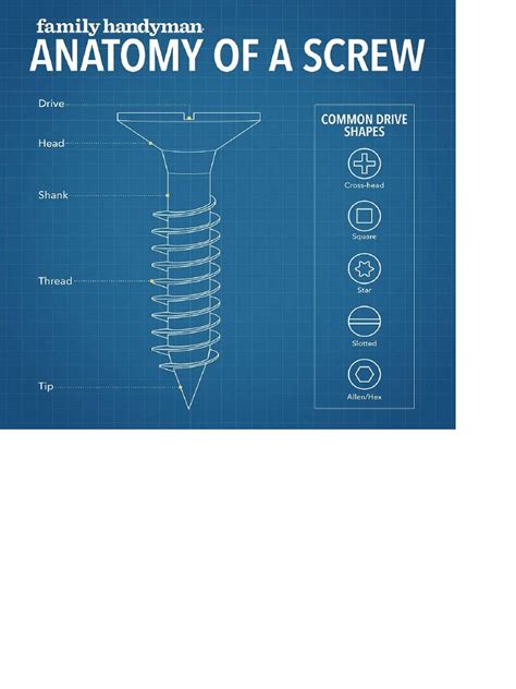 Anatomy of A Screw | PDF